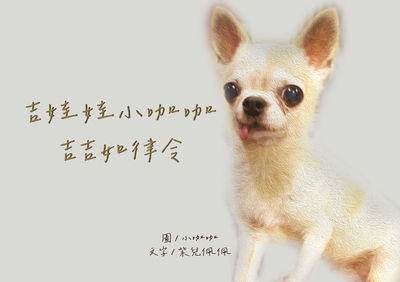 吉娃娃小咖咖吉吉如律令 出版公司:黃佩如 作者:紫兒佩佩 類型:宗教心靈-成長勵志 PDF電子書 繁體中文版