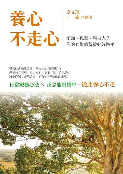 養心, 不走心:煩躁、孤獨、壓力大的你的心傷值得被好好撫平 出版公司:崧燁文化 作者:卓琦、一塵 類型:宗教心靈-成長勵志 EPUB電子書 繁體中文版
