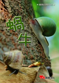 蝸牛 出版公司:親親文化 作者:阿德蝸.攝影 類型:親子童書-兒童學習 PDF電子書 繁體中文版