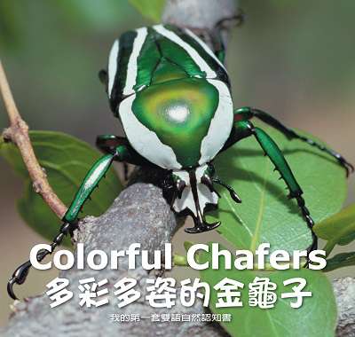 多彩多姿的金龜子 [有聲書] 出版公司:親親文化發行科公館親子書城總代理 作者:何佳芬 類型:親子童書-兒童學習 有聲書(含PDF電子書) 繁體中文版