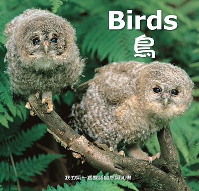 鳥 [有聲書] 出版公司:親親文化發行科公館親子書城總代理 作者:劉書玉 類型:親子童書-兒童學習 有聲書(含PDF電子書) 繁體中文版