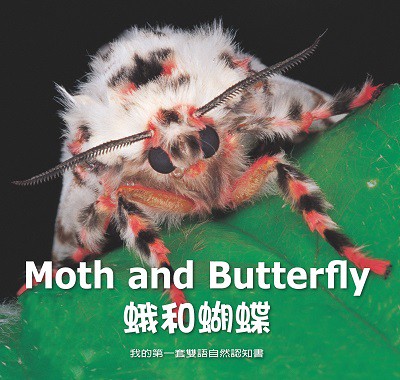 蛾和蝴蝶 [有聲書] 出版公司:親親文化發行科公館親子書城總代理 作者:何佳芬 類型:親子童書-兒童學習 有聲書(含PDF電子書) 繁體中文版