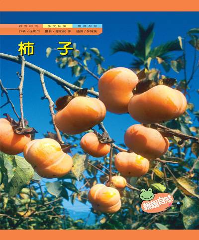 柿子 出版公司:親親文化 作者:孫婉玲 類型:親子童書-兒童學習 PDF電子書 繁體中文版
