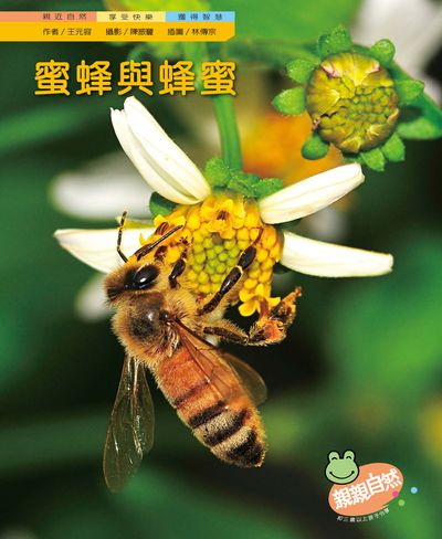 蜜蜂與蜂蜜 出版公司:親親文化 作者:王元容 類型:親子童書-兒童學習 PDF電子書 繁體中文版