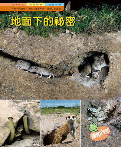 地面下的祕密 出版公司:親親文化 作者:孫婉玲 類型:親子童書-兒童學習 PDF電子書 繁體中文版