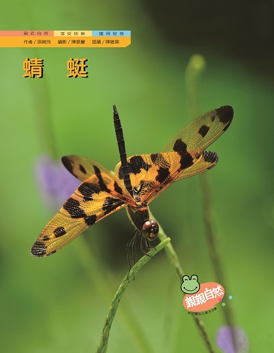 蜻蜓 出版公司:親親文化 作者:孫婉玲 類型:親子童書-兒童學習 PDF電子書 繁體中文版