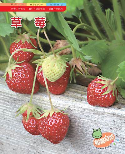 草莓 出版公司:親親文化 作者:何佳芬 類型:親子童書-兒童學習 PDF電子書 繁體中文版