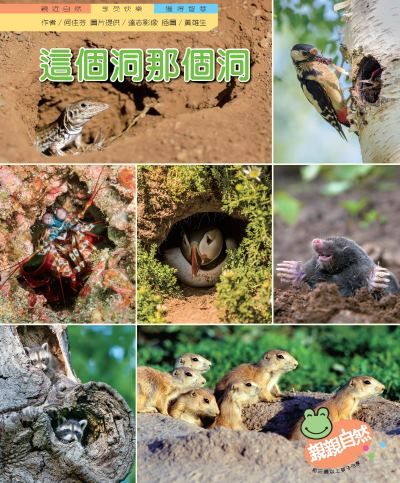 這個洞那個洞 出版公司:親親文化 作者:何佳芬 類型:親子童書-兒童學習 PDF電子書 繁體中文版