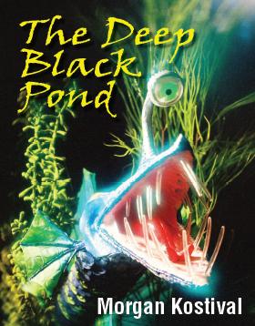 The deep black pond 出版公司:Strategic Book Group 作者:text and photographs by Morgan Kostival 類型:親子童書-兒童繪本 EPUB電子書 英文版