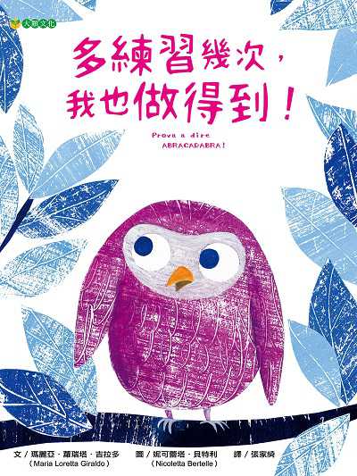 多練習幾次, 我也做得到! 出版公司:大穎文化 作者:瑪麗亞.蘿瑞塔.吉拉多(Maria Loretta Giraldo) 類型:親子童書-兒童繪本 PDF電子書 繁體中文版