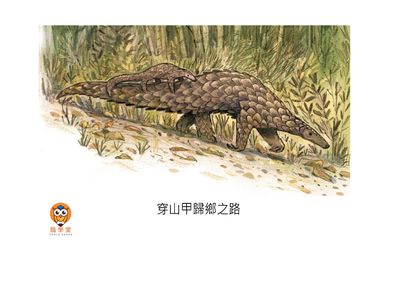 穿山甲歸鄉之路[有聲書] 出版公司:好書多教育科技有限公司 作者:拉妲. 蘭加拉詹 (Radha Rangarajan) 類型:親子童書-兒童繪本 有聲書(含PDF電子書) 繁體中文版
