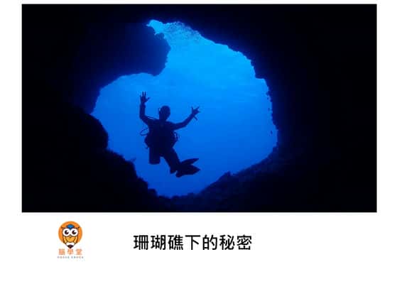 珊瑚礁下的秘密[有聲書] 出版公司:好書多教育科技有限公司 作者:拉吉夫. 艾普 (Rajiv Eipe) 類型:親子童書-兒童繪本 有聲書(含PDF電子書) 繁體中文版