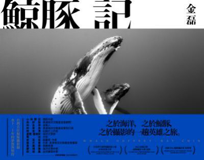 鯨豚記 出版公司:大塊 作者:金磊(Ray Chin) 類型:藝術設計-攝影 EPUB電子書 繁體中文版