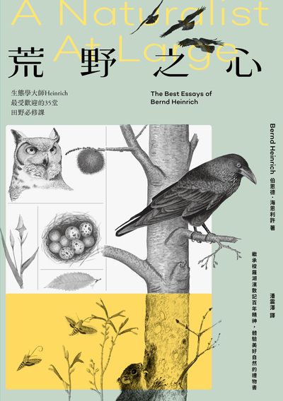 荒野之心:生態學大師Heinrich最受歡迎的35堂田野必修課 出版公司:野人文化 作者:伯恩德. 海恩利許 Bernd Heinrich 類型:科學科普-生命科學 EPUB電子書 繁體中文版