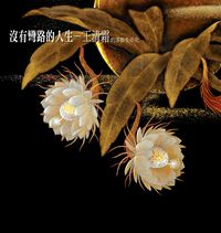 沒有彎路的人生:王清霜的漆藝生命史 出版公司:國立臺灣工藝研究發展中心 作者:王清霜 類型:科學科普-生命科學 PDF電子書 繁體中文版
