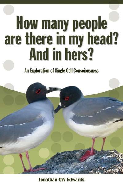 How Many People Are There In My Head And In Hers: An Exploration of Single Cell Consciousness 出版公司:Imprint Academic 作者:by Jonathan C.W. Edwards 類型:科學科普-科學總論 EPUB電子書 英文版