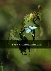 層巒蝶翠:太魯閣國家公園賞蝶按圖索驥, 高山篇 出版公司:慈濟大學 作者:黃俞維、黃郁琮撰.攝影 類型:科學科普-動植物 PDF電子書 繁體中文版