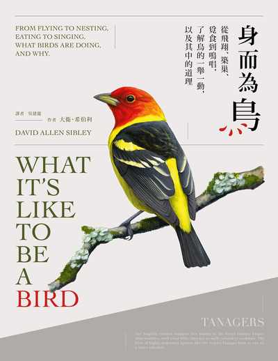 身而為鳥:從飛翔、築巢、覓食到鳴唱, 了解鳥的一舉一動, 以及其中的道理 作者:大衛.希伯利(David Allen Sibley) 類型:科學科普-動植物 PDF電子書 繁體中文版
