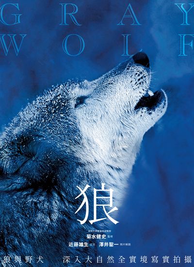 狼 出版公司:瑞昇文化 作者:近藤雄生正 類型:科學科普-動植物 PDF電子書 繁體中文版