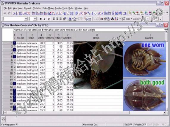 StatSoft Statistica v10.0 英文正式版(史丹索特數據統計分析軟體)