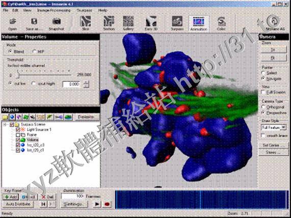 Bitplane Imaris v7.4.2 X64 英文正式版(瑞士Bitplane三維細胞結構分析軟體)