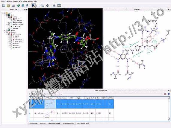 BioSolveIT LeadIT v2.1.8 英文正式版(基於結構的藥物設計平台軟體)