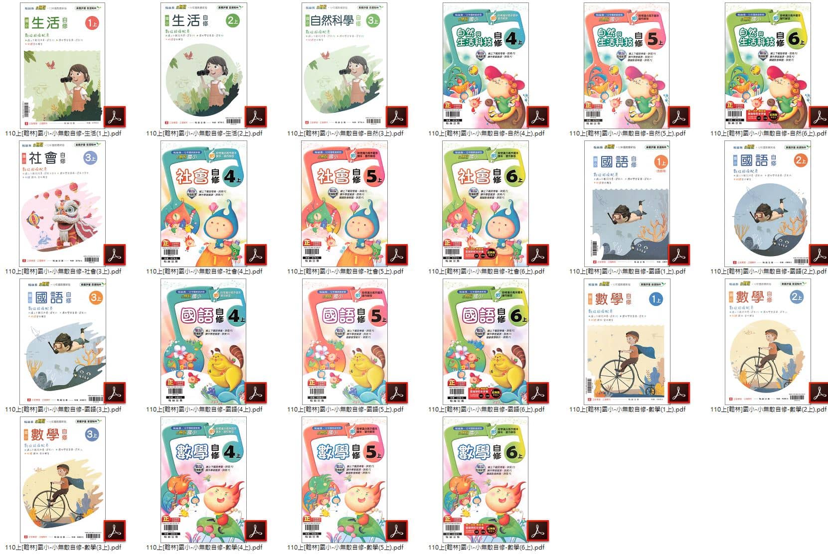 110學年上學期 國小小無敵學習自修 翰林版 1-6年級 全科目 自修光碟