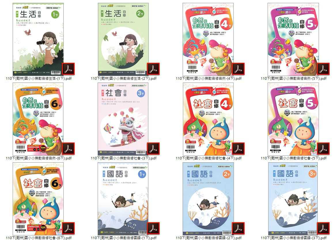 110學年下學期 國小小無敵學習自修 翰林版 1-6年級 全科目 自修光碟