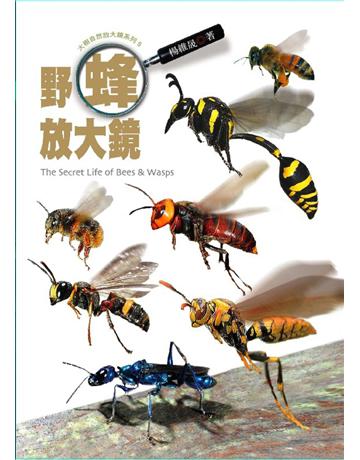 野蜂放大鏡 出版公司:遠見天下文化出版 作者:楊維晟 類型:科學-生命科學 PDF電子書 繁體中文版