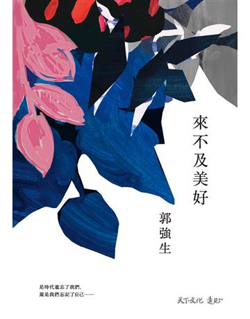 來不及美好 出版公司:遠見天下文化出版 作者:郭強生 類型:華文文學-小說 PDF電子書 繁體中文版
