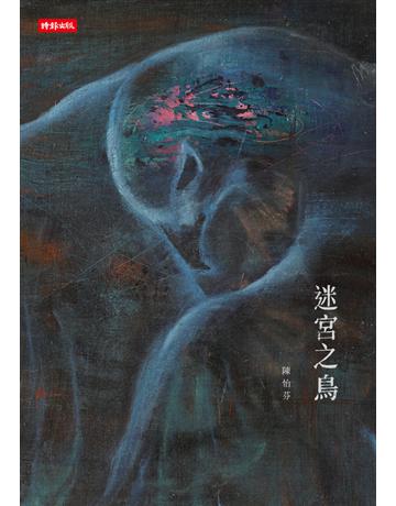 迷宮之鳥 出版公司:時報文化 作者:陳怡芬 類型:華文文學-現代詩 PDF電子書 繁體中文版