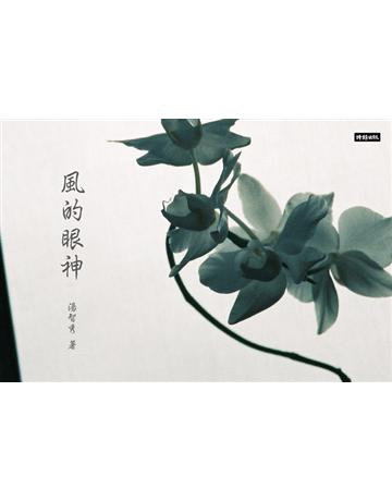 風的眼神 出版公司:時報文化 作者:湯智秀 類型:華文文學-現代詩 PDF電子書 繁體中文版