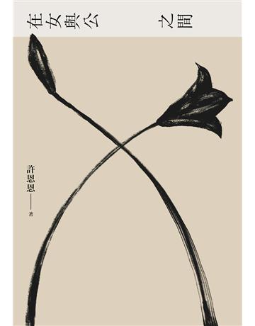 在女與公之間 出版公司:九歌出版社 作者:許恩恩 類型:華文文學-小說 EPUB電子書 繁體中文版