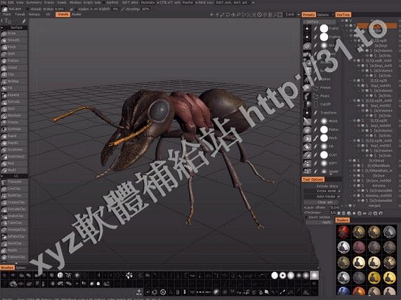 3D COAT V4.1.04A WIN32 英文正式版(三維視圖貼圖繪製以及雕刻軟體)